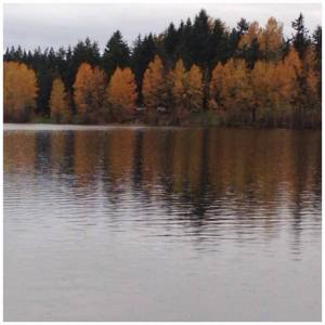 Lake Padden, in full fall foliage