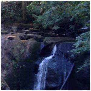 Whatcom Falls, running low